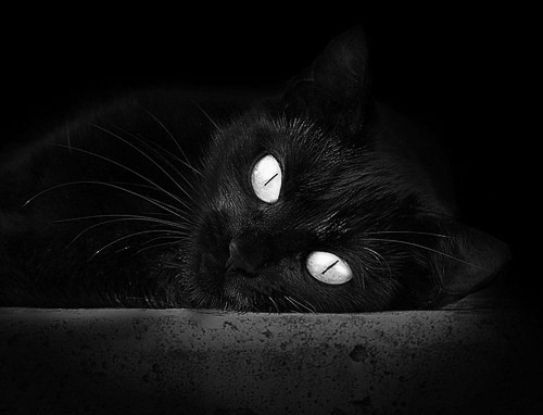 _魔术队士气高涨，期待突破难关_，魔术队战术