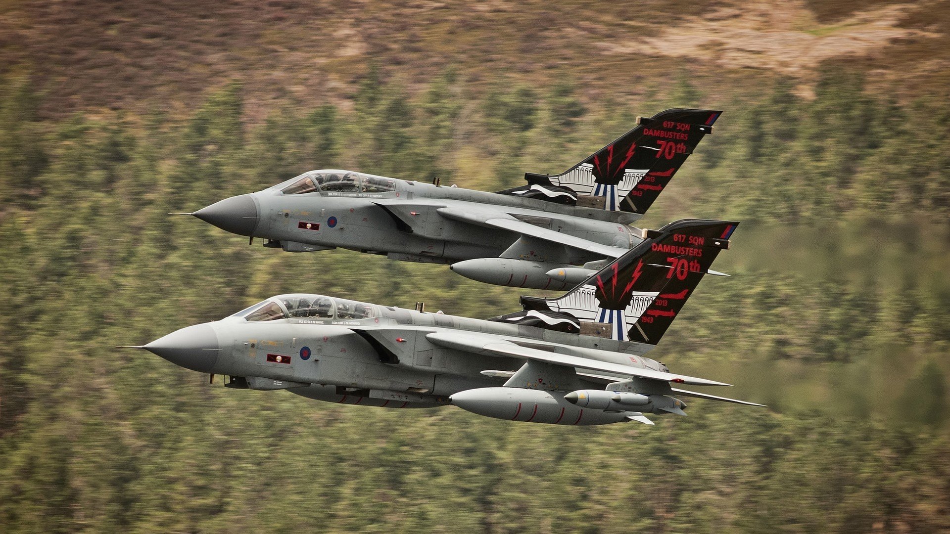 【比赛临场指导】裁判如何判罚,规则细节讲解,比赛开始裁判说什么