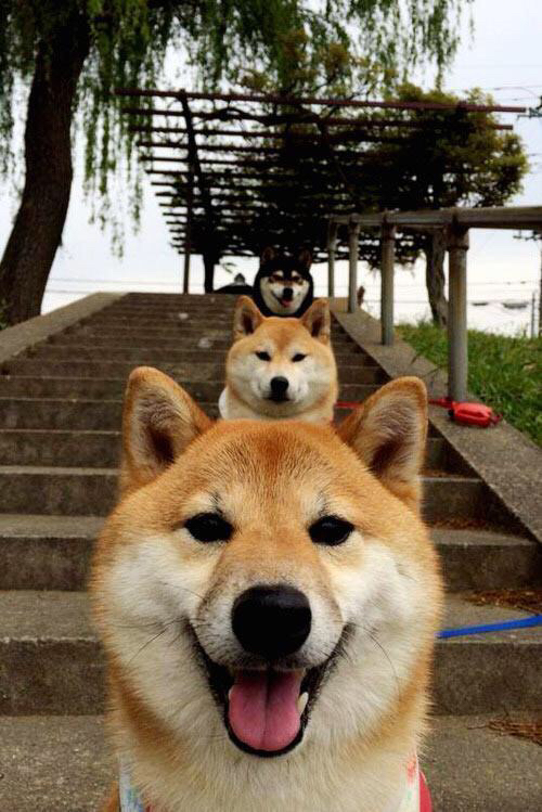 电竞选手因伤退役，粉丝众筹助其完成复健计划，电竞选手 退役