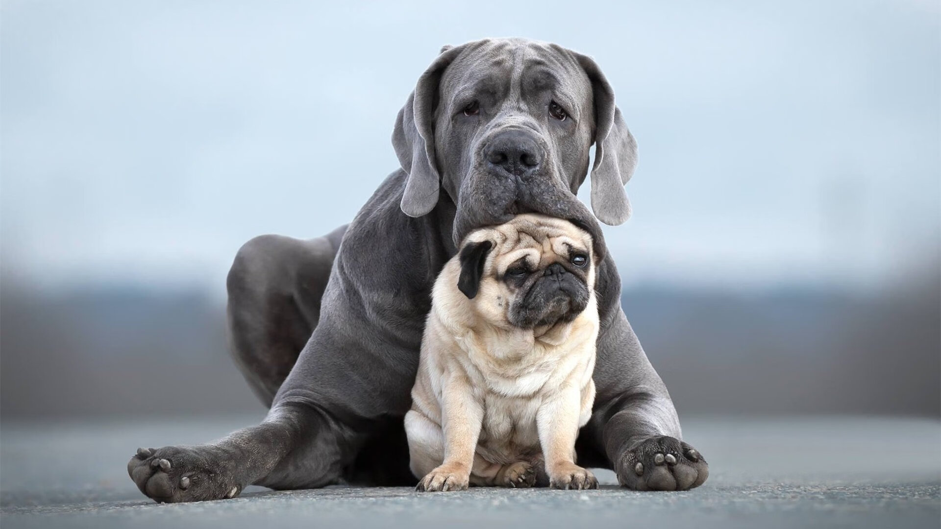 西班牙小将突破数据领跑全队，西班牙足球小将