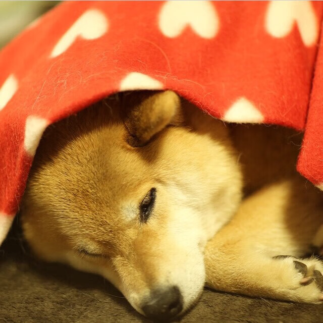 勇士队宣布成立电竞部门,勇士队宣布成立电竞部门