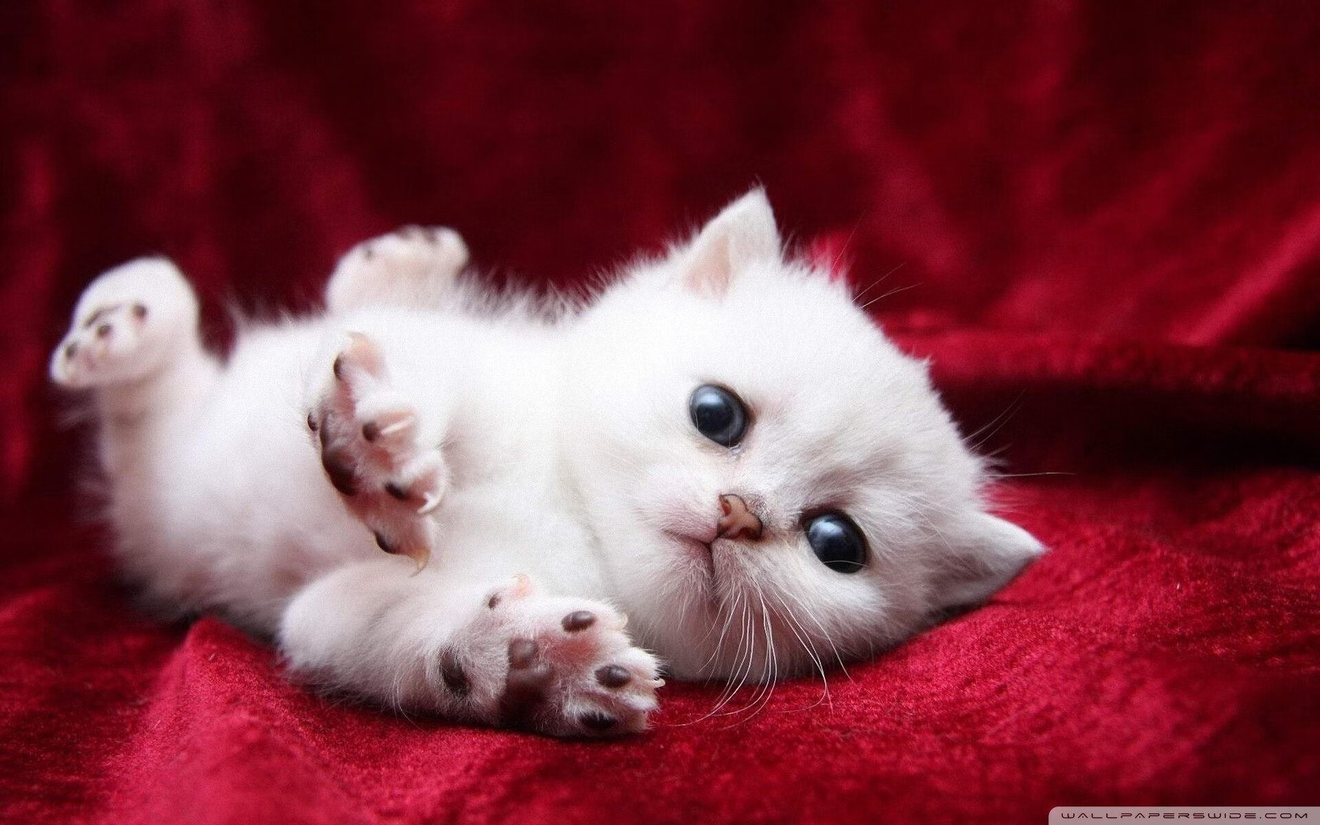 技术统计是否可作为薪资参考标准,技术统计学