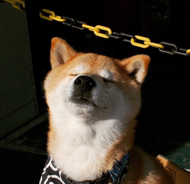 欧洲国家队的激烈比拼,场场都是生死较量,欧洲国家队分档