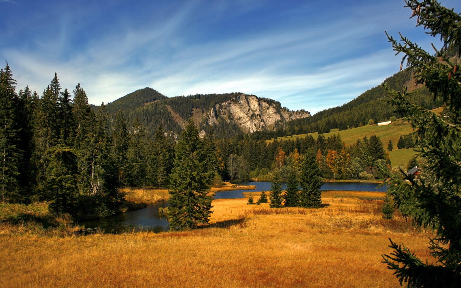 德甲球队利用视觉注意力追踪优化传球决策效率分析，视觉足球
