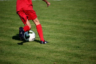 kaiyun官方入口登录-校园足球教练培训体系现状与改革思路，校园足球师资培训