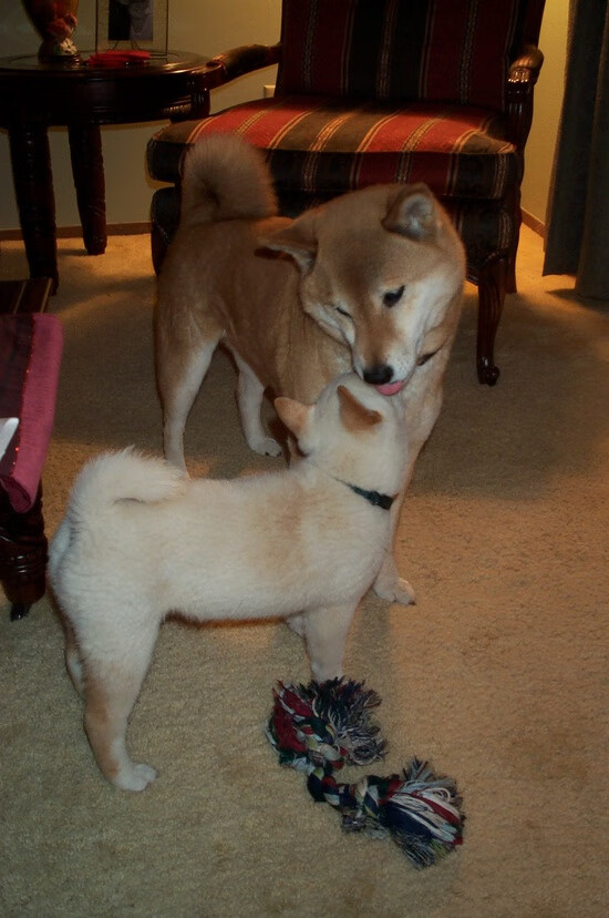 英超球队结合GPS数据调整赛季体能负荷,英超体育