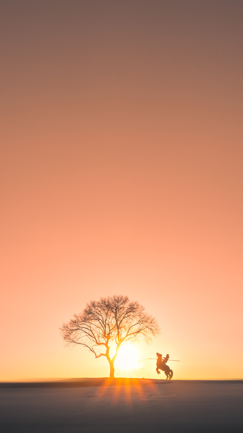 多特蒙德压迫式防守迫使对手失误,2021多特蒙德战术打法