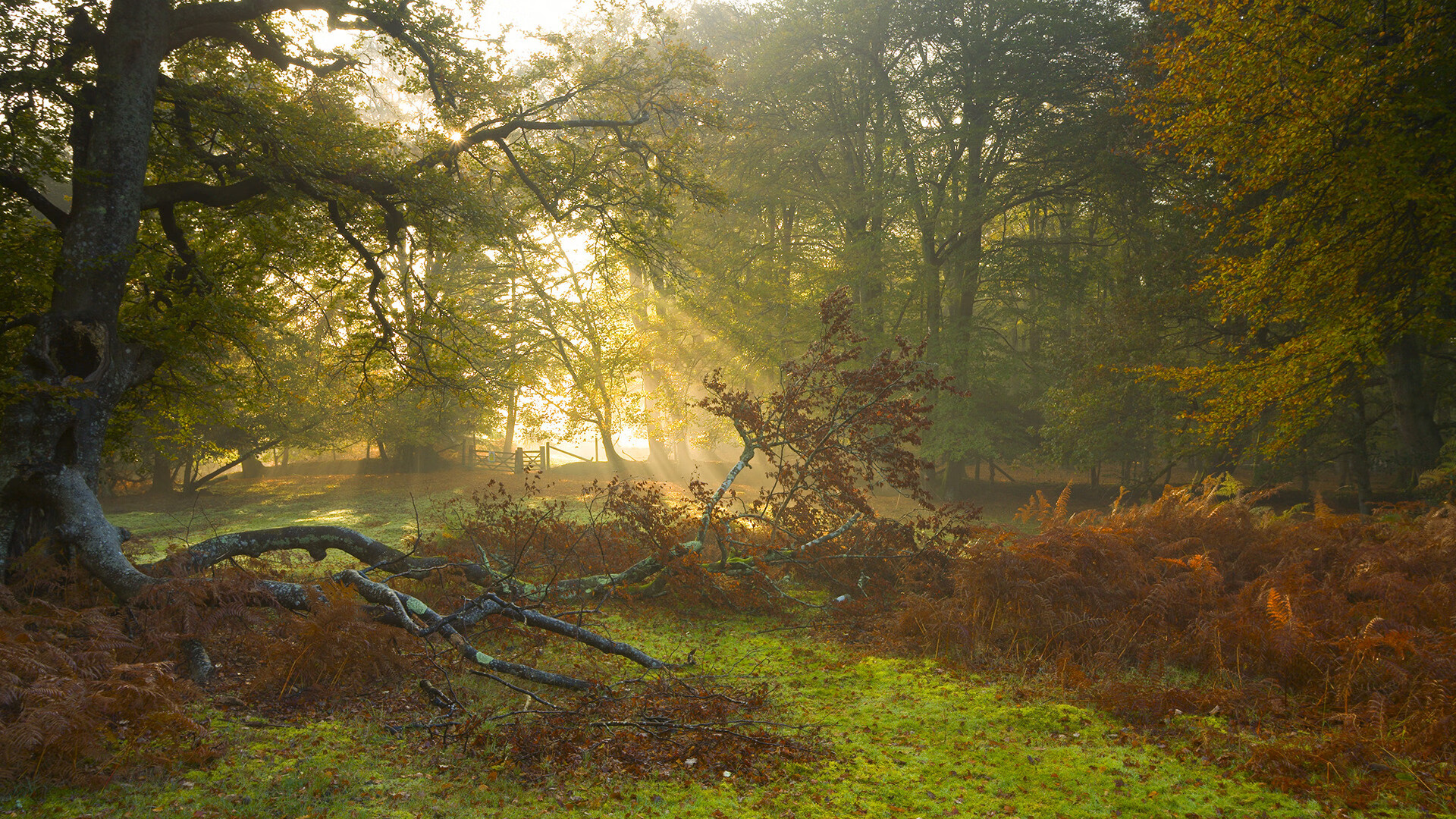 国家队教练员专业能力待提升，国家队教练员门槛