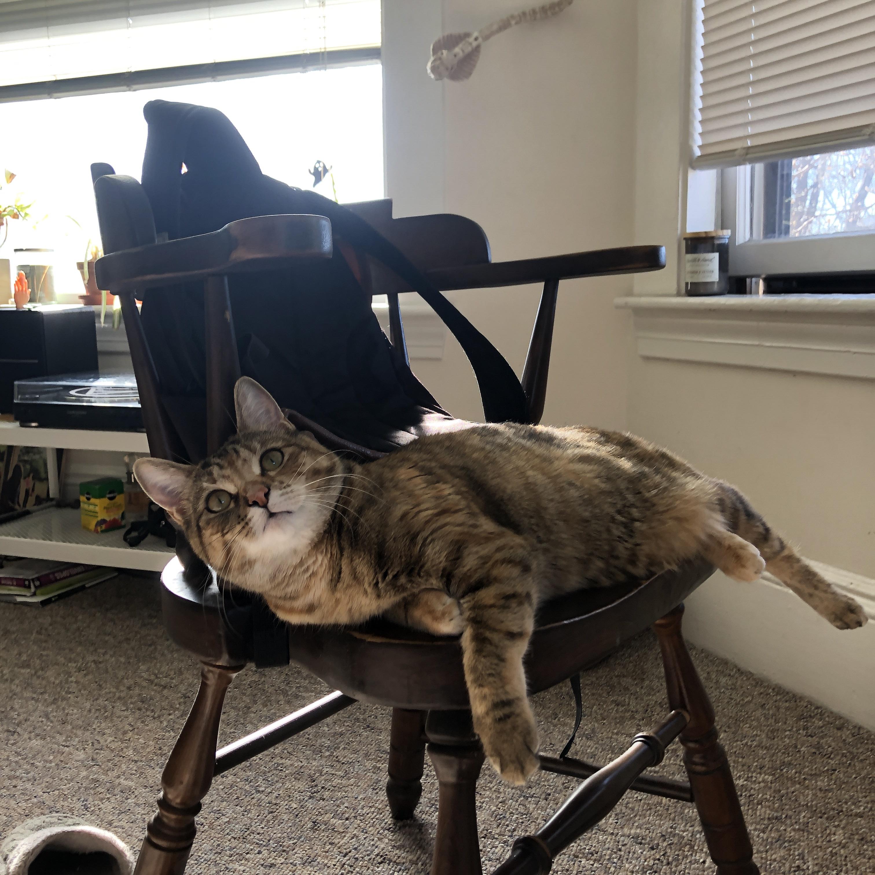 防守型中场撑起拦截屏障，防守型中场是后腰么