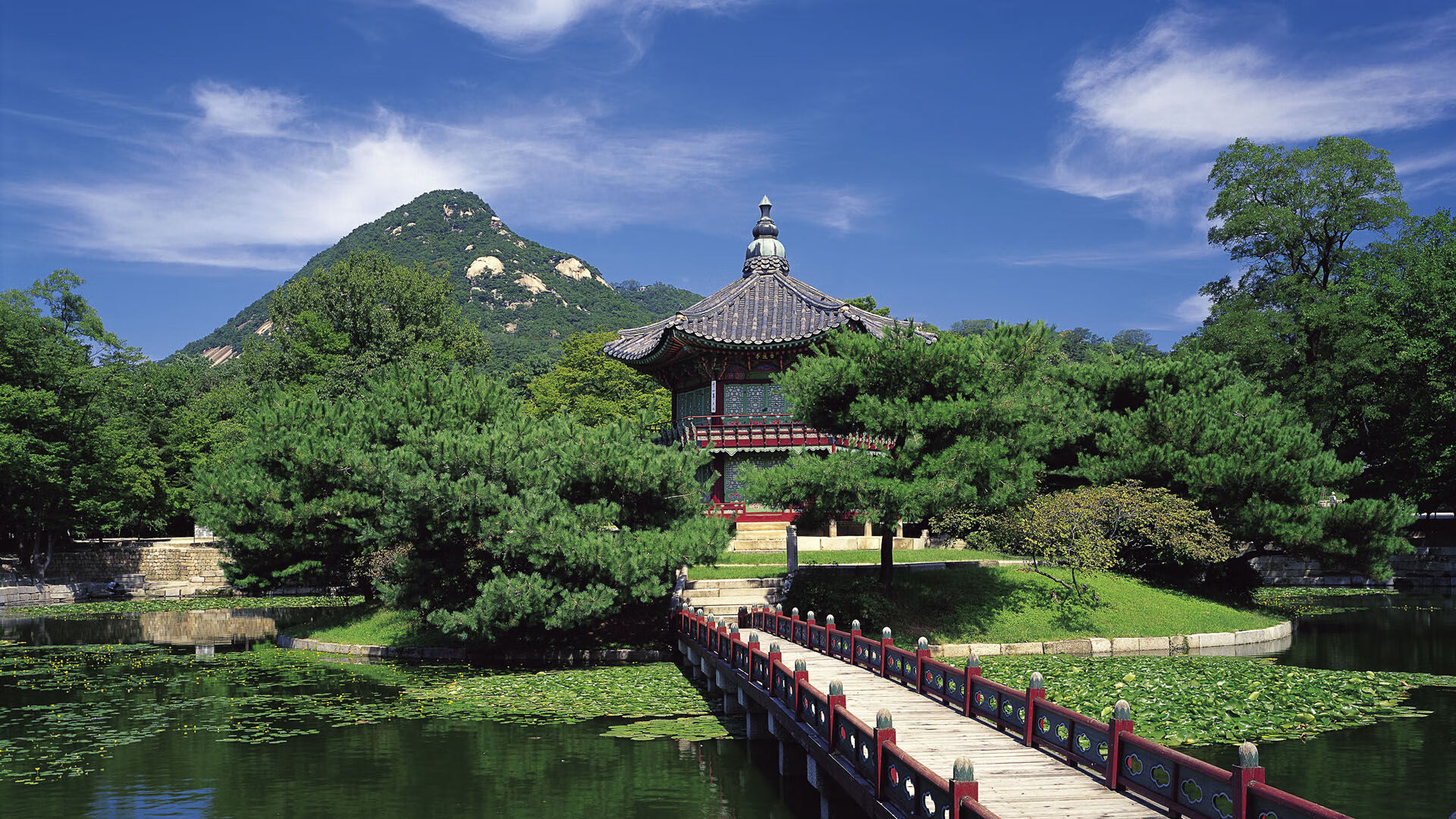 开云首页登录-选手换气节奏平稳，后程不崩盘，换气技巧