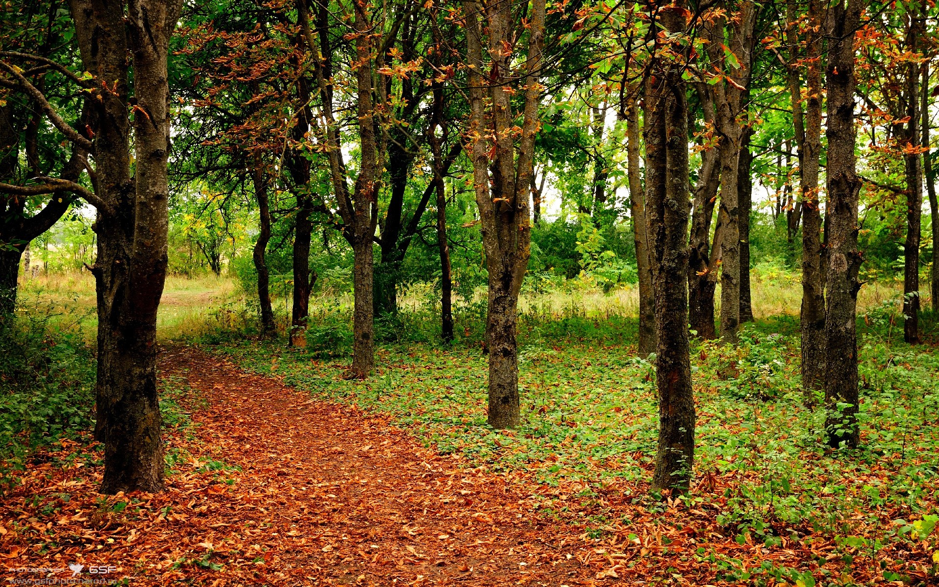 Kaiyun APP-哈登助攻数据联盟领先展现组织能力，哈登数据统计