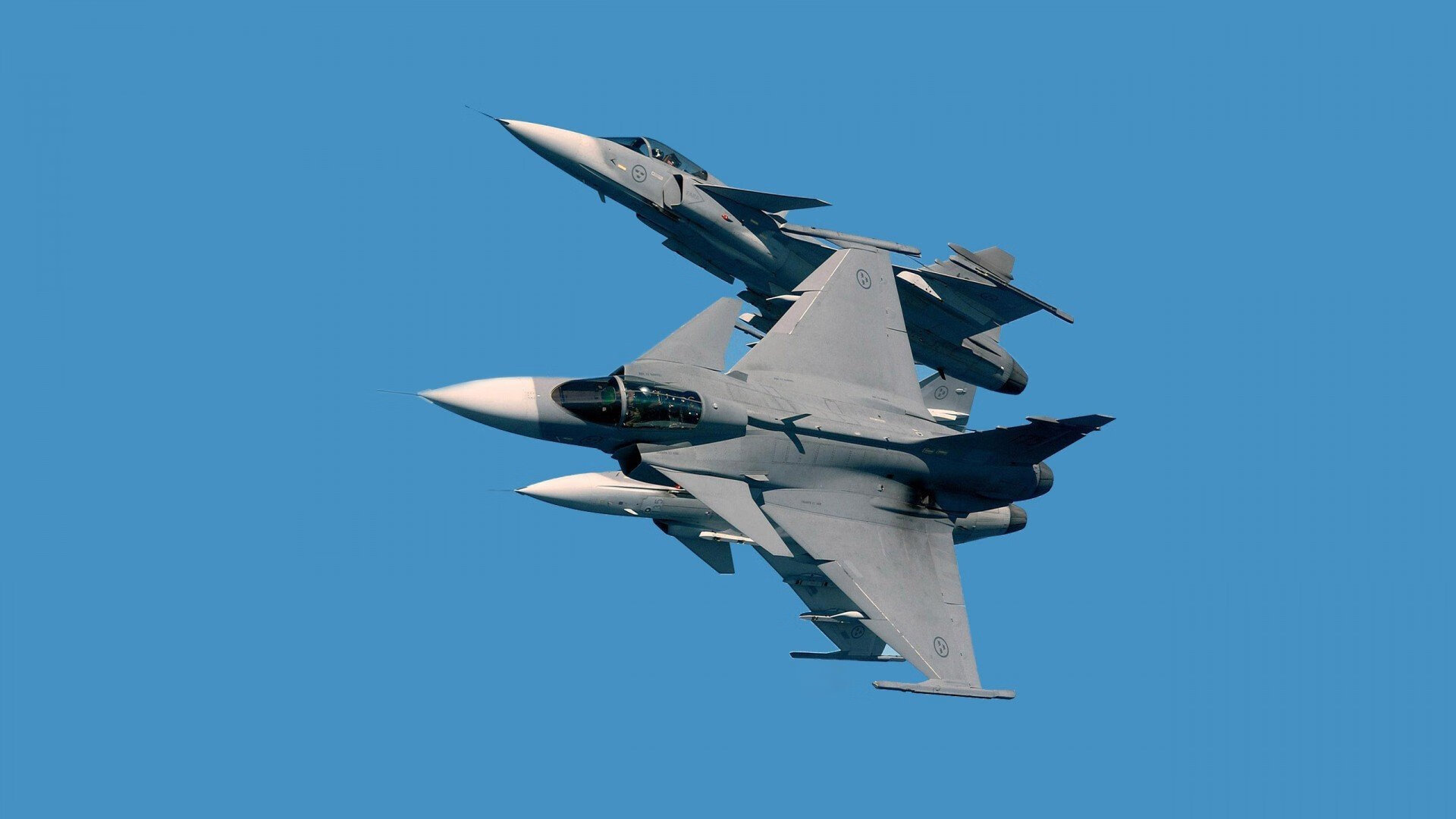 开云kaiyun-比利时蝶泳项目发挥持续稳定，比利时花样游泳