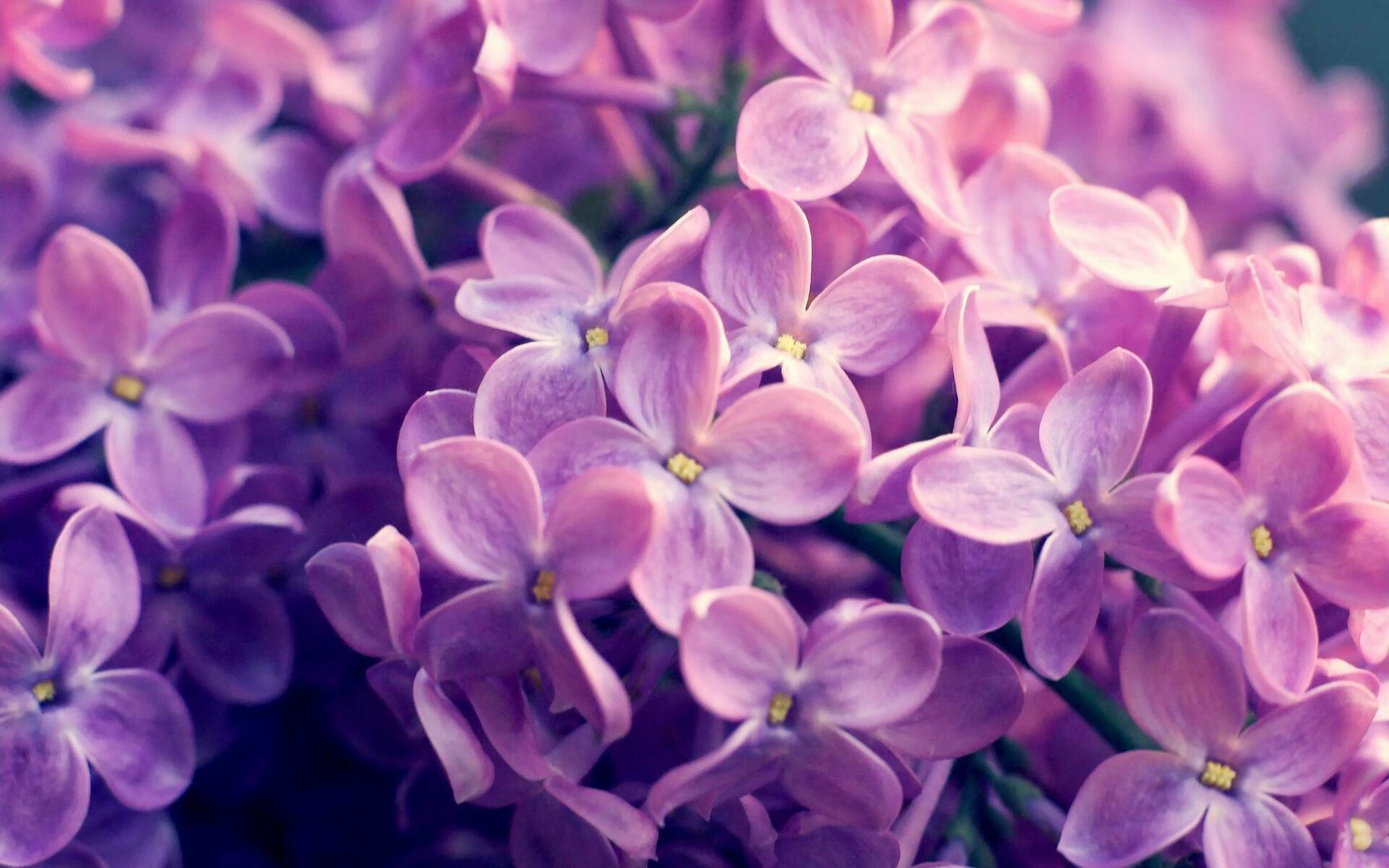 kaiyun开云·官方网站-普费夫跳台决赛用实力回应质疑，普费茨纳