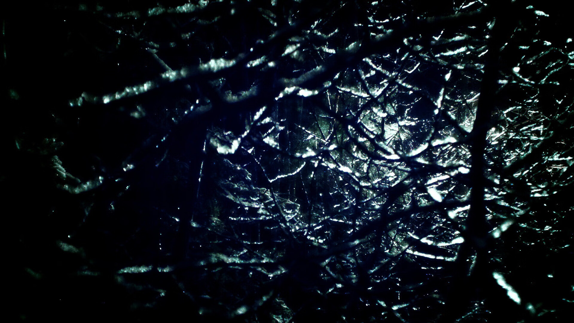 美国队接力技术细节获教练高度评价,美国队接力赛