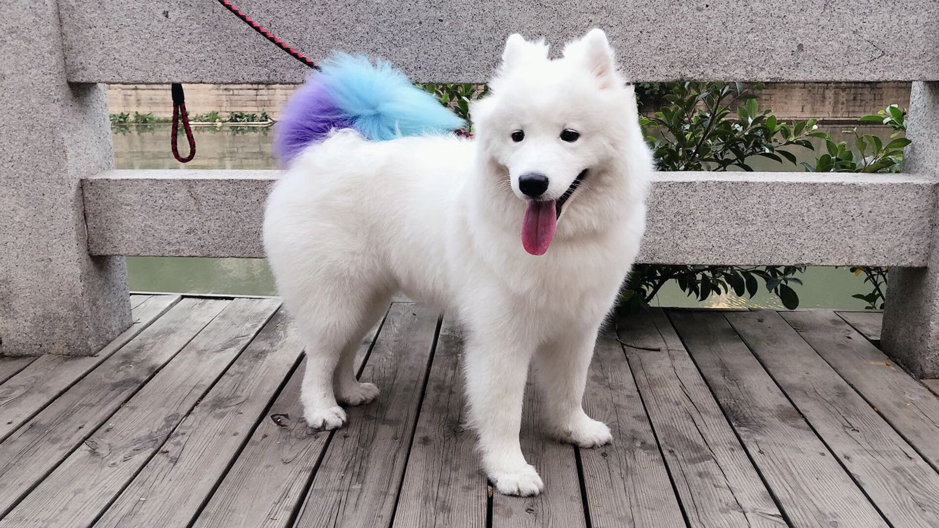 开云下载-覃海洋稳中求快 争创佳绩，覃海洋个人资料